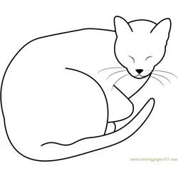 Sleeping Fat Cat by Jedijaruto Free Coloring Page for Kids
