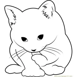 Small Cute Cat Free Coloring Page for Kids