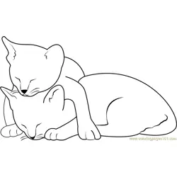 Two Cats Sleeping Free Coloring Page for Kids
