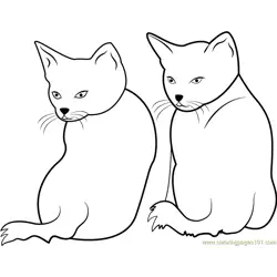 Two Cats Staring Backward Free Coloring Page for Kids