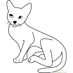 White Grey Cat Free Coloring Page for Kids