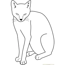 Wow Cat Free Coloring Page for Kids