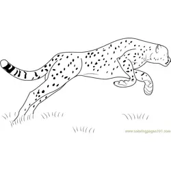 Cheetah Jumping Free Coloring Page for Kids