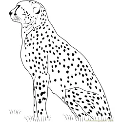 Cheetah Resting Free Coloring Page for Kids