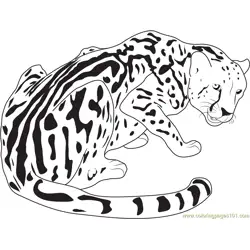 King Cheetah Free Coloring Page for Kids