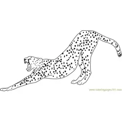 Stretching Cheetah Free Coloring Page for Kids