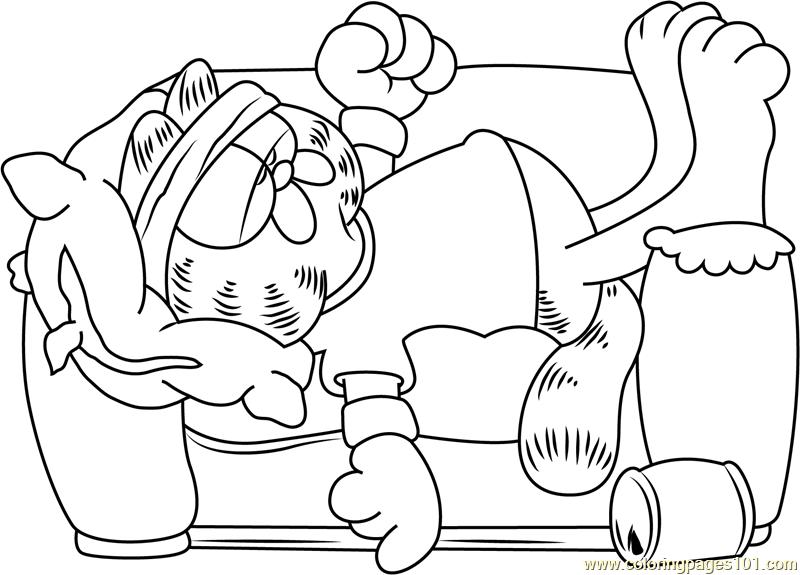 Garfield Sleeping on Sofa