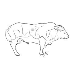 Belgian Blue Bull Free Coloring Page for Kids