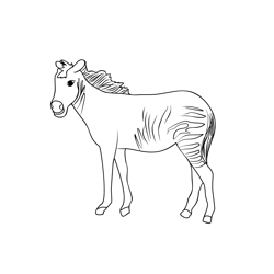 Zorse At A Safari Park In Germany Free Coloring Page for Kids