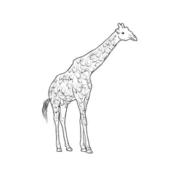 Nairobi National Park Free Coloring Page for Kids