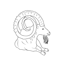 Markhor, National Animal Of Pakistan Free Coloring Page for Kids