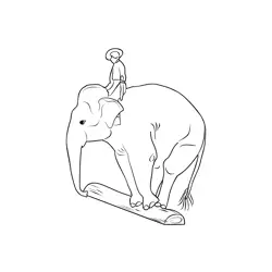 Elephant Show At Singapore Zoo Free Coloring Page for Kids