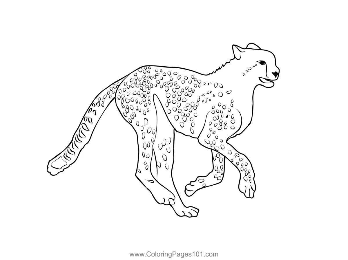 Kruger National Park Coloring Page for Kids - Free South Africa ...