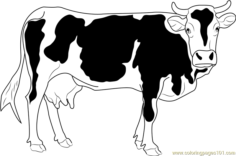 Cattles Coloring Page for Kids - Free Cow Printable Coloring Pages ...