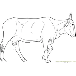 Holy Cow Free Coloring Page for Kids