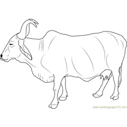 Indian Holy Cow Free Coloring Page for Kids