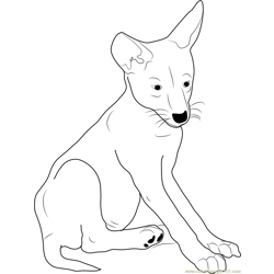 Coyote Pup Free Coloring Page for Kids