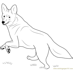 Coyote Running Free Coloring Page for Kids