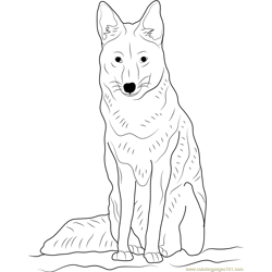 Coyote Sitting Free Coloring Page for Kids
