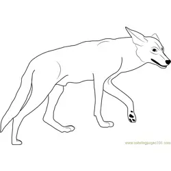 Coyote in California Valley Free Coloring Page for Kids