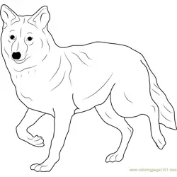 Coyote Free Coloring Page for Kids