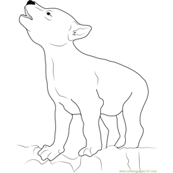 Wolf Coyote Free Coloring Page for Kids