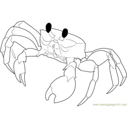 Florida Ghost Crab Free Coloring Page for Kids