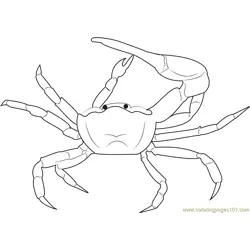 Gulf Mud Fiddler Crab Free Coloring Page for Kids