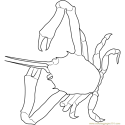 Masked Crab Free Coloring Page for Kids