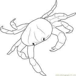 Red Land Crab Free Coloring Page for Kids