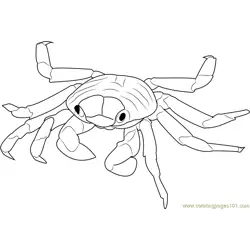 Sally Lightfoot Crab Free Coloring Page for Kids