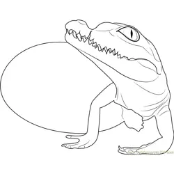 Baby Crocodile Hatchling Free Coloring Page for Kids