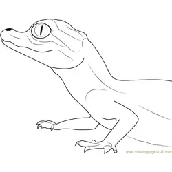 Baby Crocodile Free Coloring Page for Kids