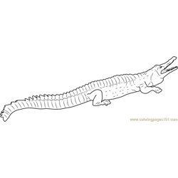 Crocodile Taking Rest Free Coloring Page for Kids