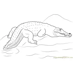 Crocodile on a Rock Free Coloring Page for Kids