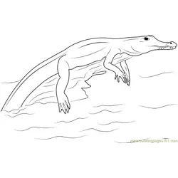 Crocodylinae Free Coloring Page for Kids