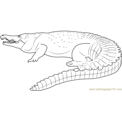 Orinoco Crocodile Free Coloring Page for Kids