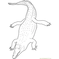 River Crocodile Free Coloring Page for Kids