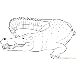 Saltwater Crocodile Free Coloring Page for Kids