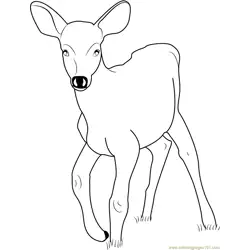 Baby Deer Free Coloring Page for Kids