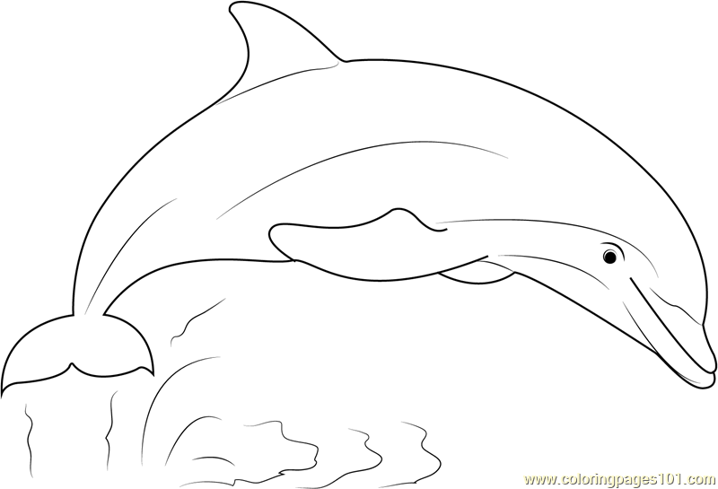 Dolphin Show Coloring Page For Kids Free Dolphin Printable Coloring Pages Online For Kids Coloringpages101 Com Coloring Pages For Kids