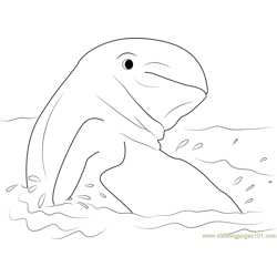 Australian Snubfin Dolphin Free Coloring Page for Kids