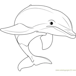 Beautiful Dolphins Free Coloring Page for Kids