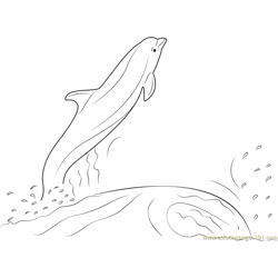 Dolphin Jumping Out of the Water Free Coloring Page for Kids