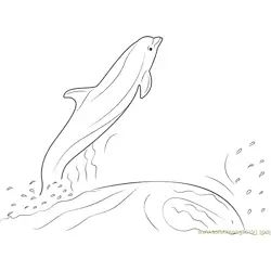 Dolphin Jumping Out of the Water Free Coloring Page for Kids
