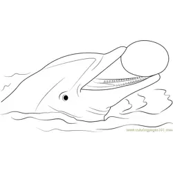 Dolphin Playing with Ball Free Coloring Page for Kids