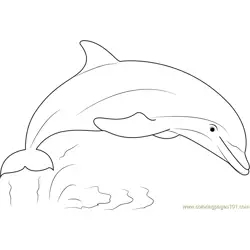Dolphin Show Free Coloring Page for Kids