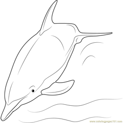 Dolphin Swimming Free Coloring Page for Kids