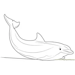 Dolphin Free Coloring Page for Kids