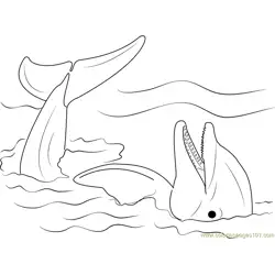 Lazy Dolphin Free Coloring Page for Kids